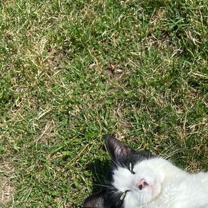 Meet your Posher, Grace